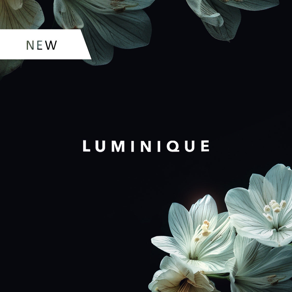 Κρέμα Ημέρας LUMINIQUE DAY CREAM - 50 ml