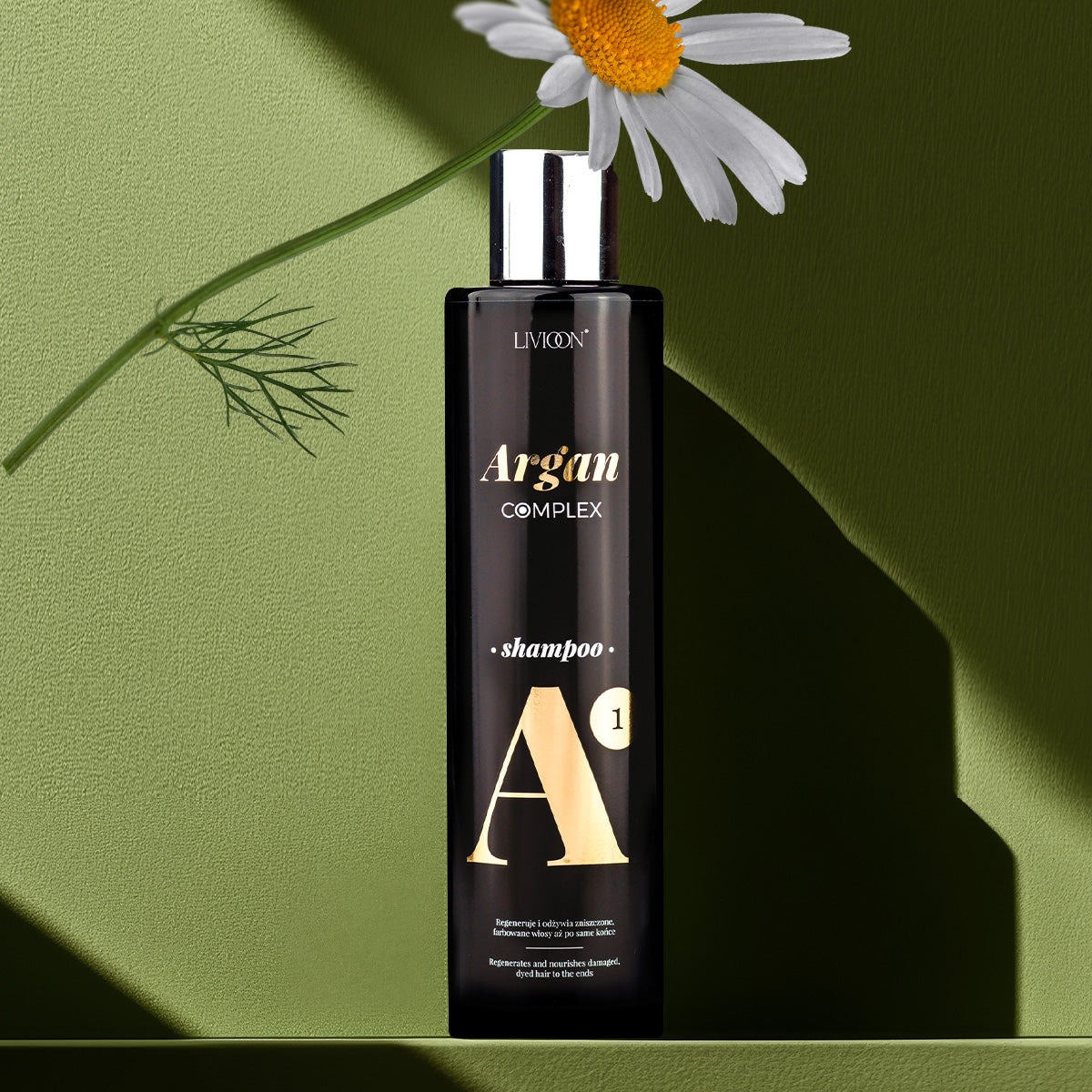 Livioon Argan Complex - Σετ Σαμπουάν (250ml) & Conditioner (250ml)
